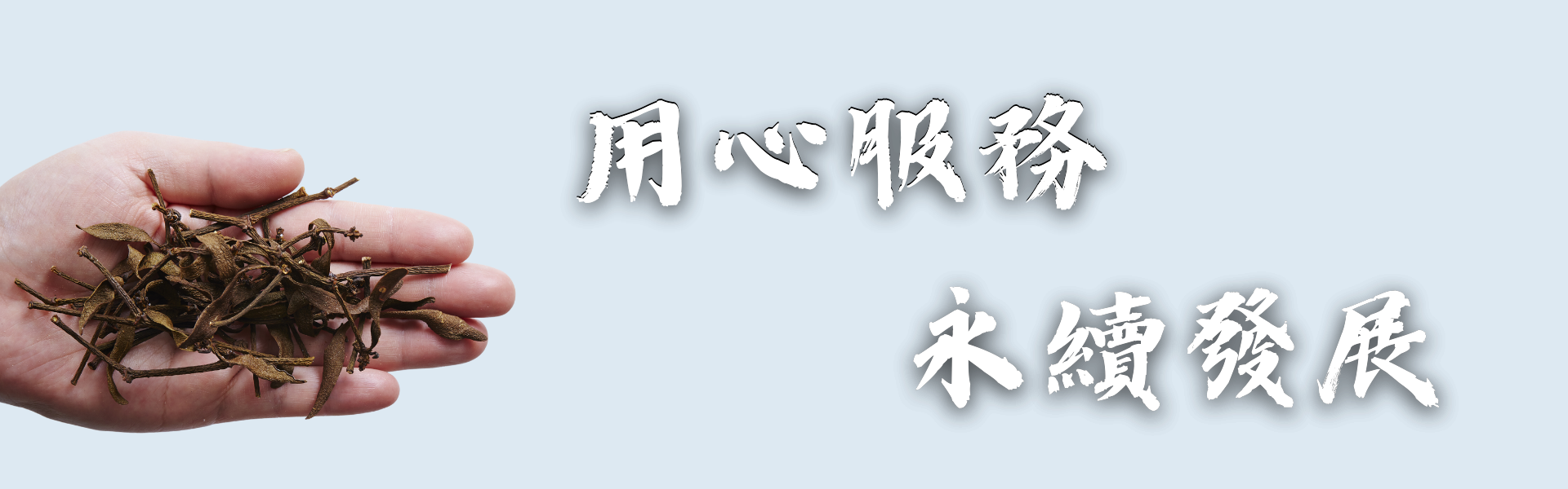 人壽保健食品
